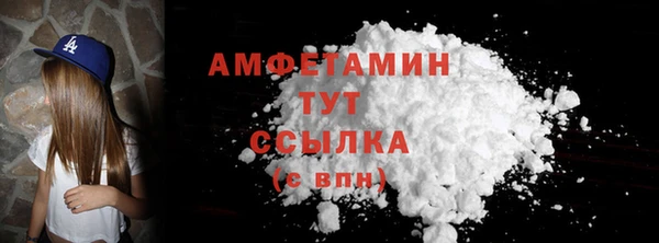 крисы Абаза