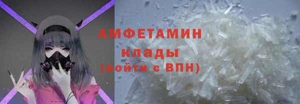 крисы Абаза