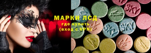 крисы Абаза