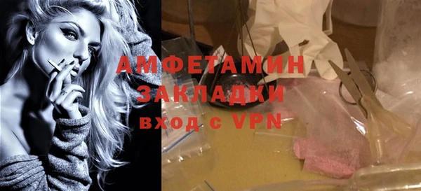 крисы Абаза