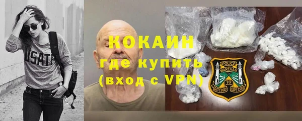 крисы Абаза