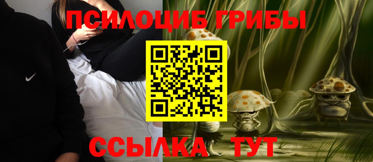 Галлюциногенные грибы мицелий  Псилоцибиновые грибы мицелий  Вход с VPN  Заволжье 